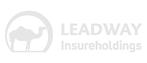 Leadway InsureHoldings